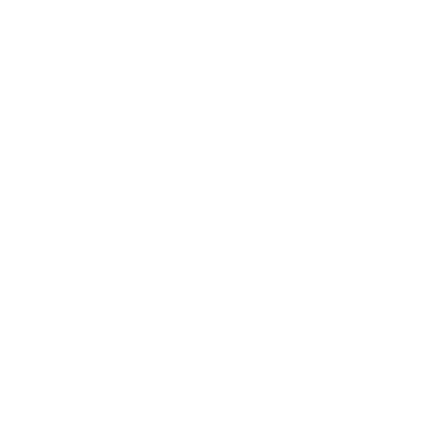 Peixoto-log